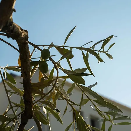 Ξενοδοχείο Ethereal Λιμένας